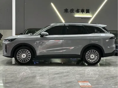2024 Chery Fengyun T9 120 Long Range Luxury 5-seater NMC, фото 3, лот 10834285