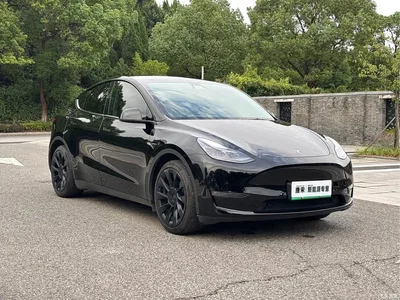 2021 Tesla Model Y Standard Range Rear-Wheel Drive, фото 3, лот 11386412