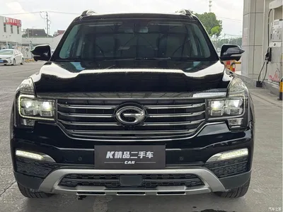 2017 GAC Trumpchi Trumpchi GS8 320T 2WD Luxury Smart Connect (7-seater), фото 2, лот 10418335