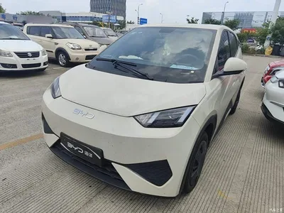 2025 BYD Seagull Smart Drive Edition 305km Vitality Version, фото 1, лот 10263027