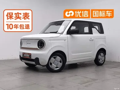 2024 Geely Galaxy Panda mini 200km Endurance Bear, фото 1, лот 11179679