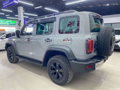 2023 Tank 300 Off-Road Edition 2.0T Conqueror, фото 4, лот 10345203