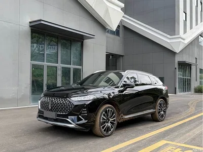 2021 WEY Mocha 2.0T 2WD Premium Edition, фото 3, лот 11155300