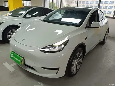 2022 Tesla Model Y Rear-Wheel Drive Version, фото 1, лот 11081244