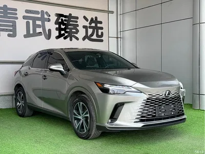 2025 Lexus RX 300 4WD Premium Edition, фото 3, лот 11188818