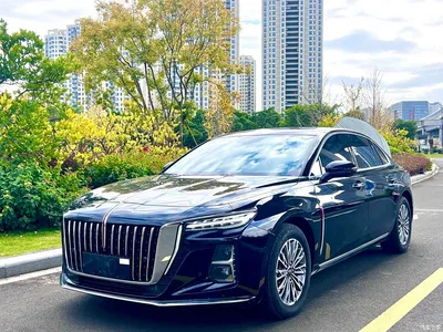 2024 Hongqi H5 2.0T Automatic Smart Connect Flag Smooth Edition, фото 1, лот 10288684