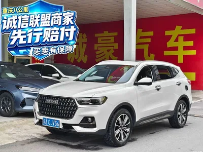 2023 Haval H6 National Trend Edition 1.5T Automatic Champion, фото 1, лот 11134167