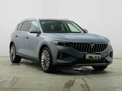 2021 Voyah Auto VOYAH FREE AWD Standard Range Extender Exclusive Luxury Package, фото 2, лот 10311078