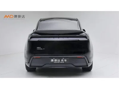 2025 Tesla Model Y Rear-Wheel Drive, фото 4, лот 11496901