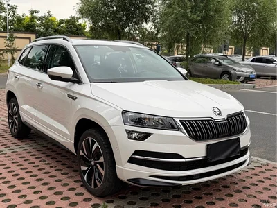 2023 Škoda Karoq TSI280 Luxury Edition, фото 3, лот 11134426
