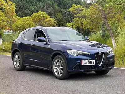 2017 Alfa Romeo Stelvio 2.0T 200HP Luxury Edition, фото 3, лот 11451063