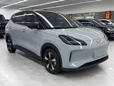 2024 Wuling Motors Wuling Binguo PLUS Model 510km Flagship Edition 4-Seater, фото 3, лот 10833537