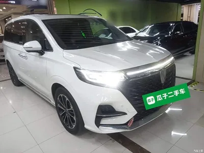 2022 Roewe iMAX8 400TGI Gathering Edition, фото 4, лот 10340586
