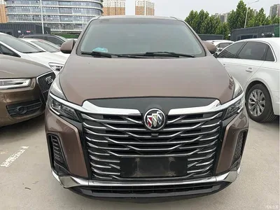 2022 Buick GL8 Land Business Class 652T Comfort, фото 1, лот 10256120
