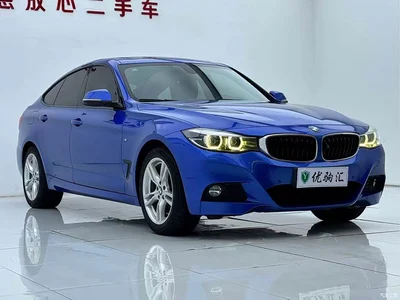 2019 BMW 3 Series GT 320i M Sport Model, фото 3, лот 10672073