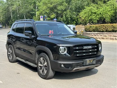2021 Haval Big Dog 1.5T DCT 2WD Labrador Edition, фото 1, лот 10361648