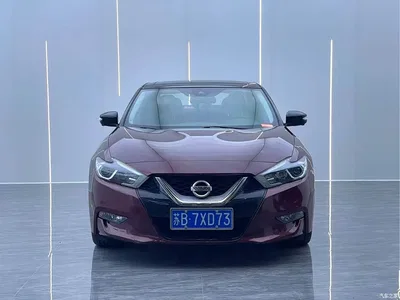 2016 Nissan Cima 2.5L XL Luxury, фото 2, лот 11178439