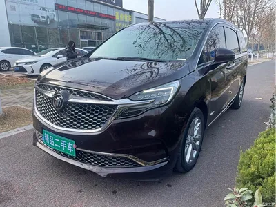 2020 Buick GL8 Avenir Six-Seat Elegance Edition, фото 1, лот 10255067