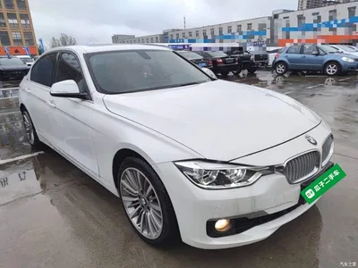 2019 BMW 3 Series 320Li xDrive Fashion Type, фото 4, лот 11191623