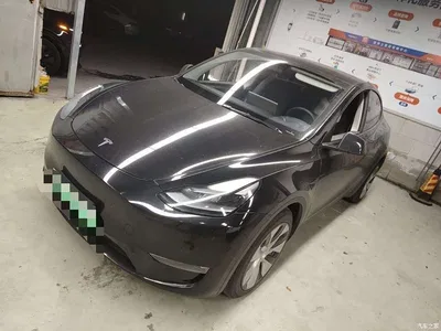 2021 Tesla Model Y Standard Range Rear-Wheel Drive, фото 1, лот 11194872