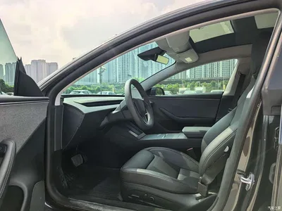 2025 Tesla Model 3 Model Rear-Wheel Drive Edition, фото 4, лот 10346514