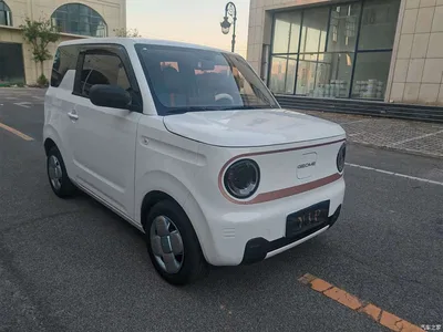 2024 Geely Galaxy Panda mini 200km Endurance Bear, фото 3, лот 10898787
