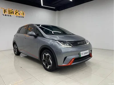 2021 BYD Dolphin 405km Freedom Edition, фото 3, лот 10254568