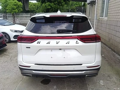 2021 Haval H6 National Trend Edition 1.5GDIT Automatic Champion Edition, фото 4, лот 10285477