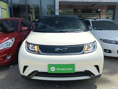 2025 BYD Dolphin 420km Vitality Edition, фото 3, лот 10479394