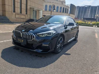 2021 BMW 2 Series (Import) 225i 4-Door Gran Coupe M Sport Package, фото 4, лот 10768388