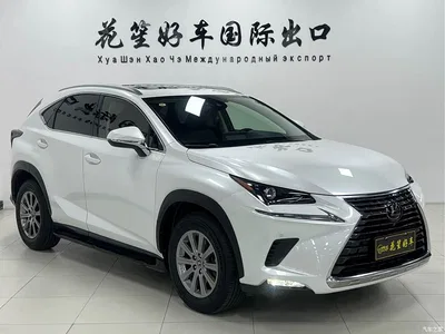 2020 Lexus NX 200 AWD F Sport China V, фото 3, лот 10317213