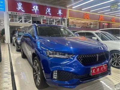 2017 WEY VV7 VV7c 2.0T Flagship, фото 3, лот 10479212