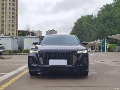2024 Hongqi H9 2.0T Qi Enjoy Private Fashion Edition, фото 3, лот 10286412