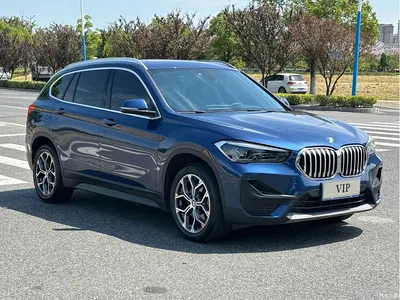 2021 BMW X1 sDrive25Li Leading, фото 3, лот 10481589