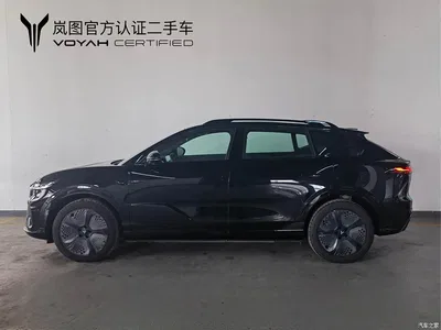 2024 Voyah Auto Voyah Zhiyin 4WD Global Edition, фото 4, лот 11169874