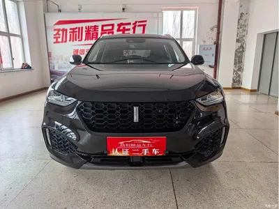 2019 WEY VV6 2.0T 2WD Flagship China VI, фото 2, лот 10452129