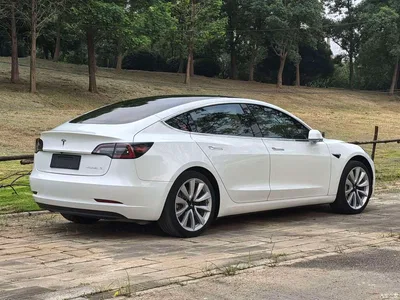 2019 Tesla Model 3 Standard Range Rear-Wheel Drive Upgrade, фото 3, лот 10398950