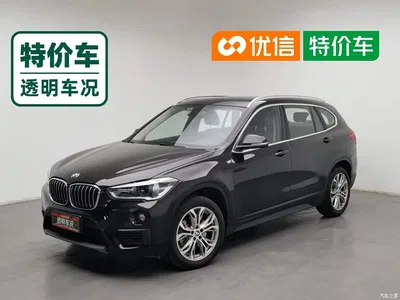 2019 BMW X1 sDrive20Li Leading Model, фото 1, лот 11548760