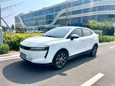 2018 Ora iQ Long-range Edition Progressive, фото 1, лот 11519383