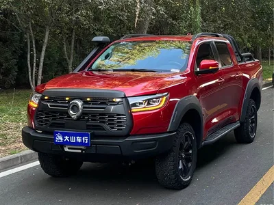 2020 Great Wall Pao 2.0T Off-road Automatic Gasoline 4WD Limited GW4C20B, фото 1, лот 10246362
