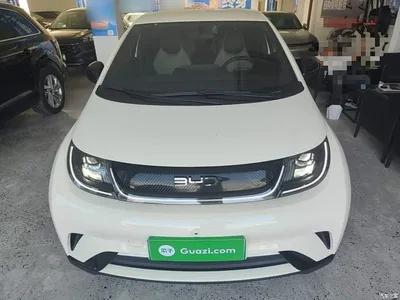2025 BYD Dolphin 420km Freedom Edition, фото 3, лот 10480128
