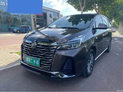 2023 Buick GL8 Land Business Class 652T Luxury, фото 1, лот 10254391