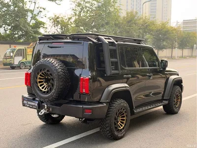 2021 Tank 300 Off-road Version 2.0T Conqueror, фото 4, лот 10808581