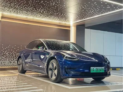 2019 Tesla Model 3 Standard Range Rear-Wheel Drive Upgrade, фото 3, лот 10358301