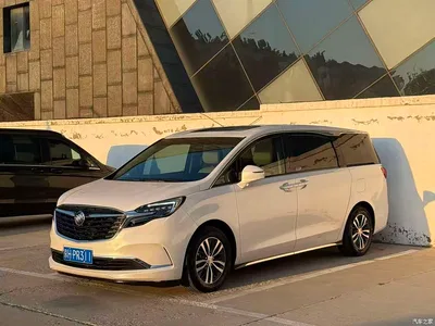 2020 Buick GL8 Model ES Landglory 653T Comfort, фото 1, лот 10255780