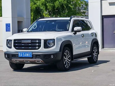 2021 Haval Big Dog 1.5T DCT 2WD Border Collie - Wangcai Edition, фото 1, лот 10361687