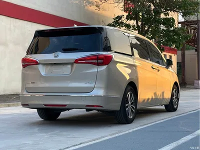 2017 Buick GL8 ES 28T Luxury China V, фото 4, лот 10247977