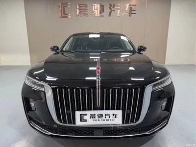 2020 Hongqi H9 2.0T Smart Connection Qi Chang Edition, фото 2, лот 10287575
