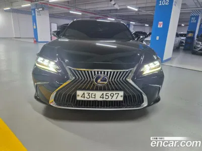 2019 Lexus ES 300h Executive, фото 3, лот 10203157
