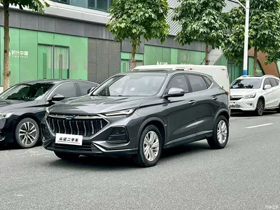 2021 Changan Oshan Changan Oushang X5 1.5T DCT Premium, фото 1, лот 11163509